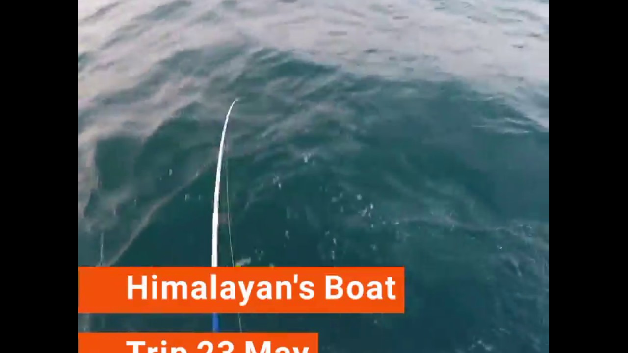 Fishing in  Qatar with Himalayan Anglers