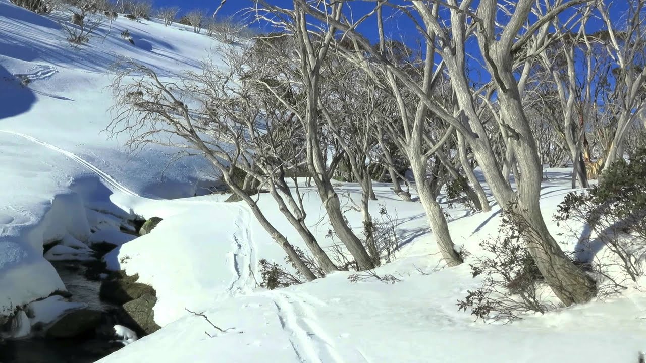 Kiandra to Kosciuszko 2014