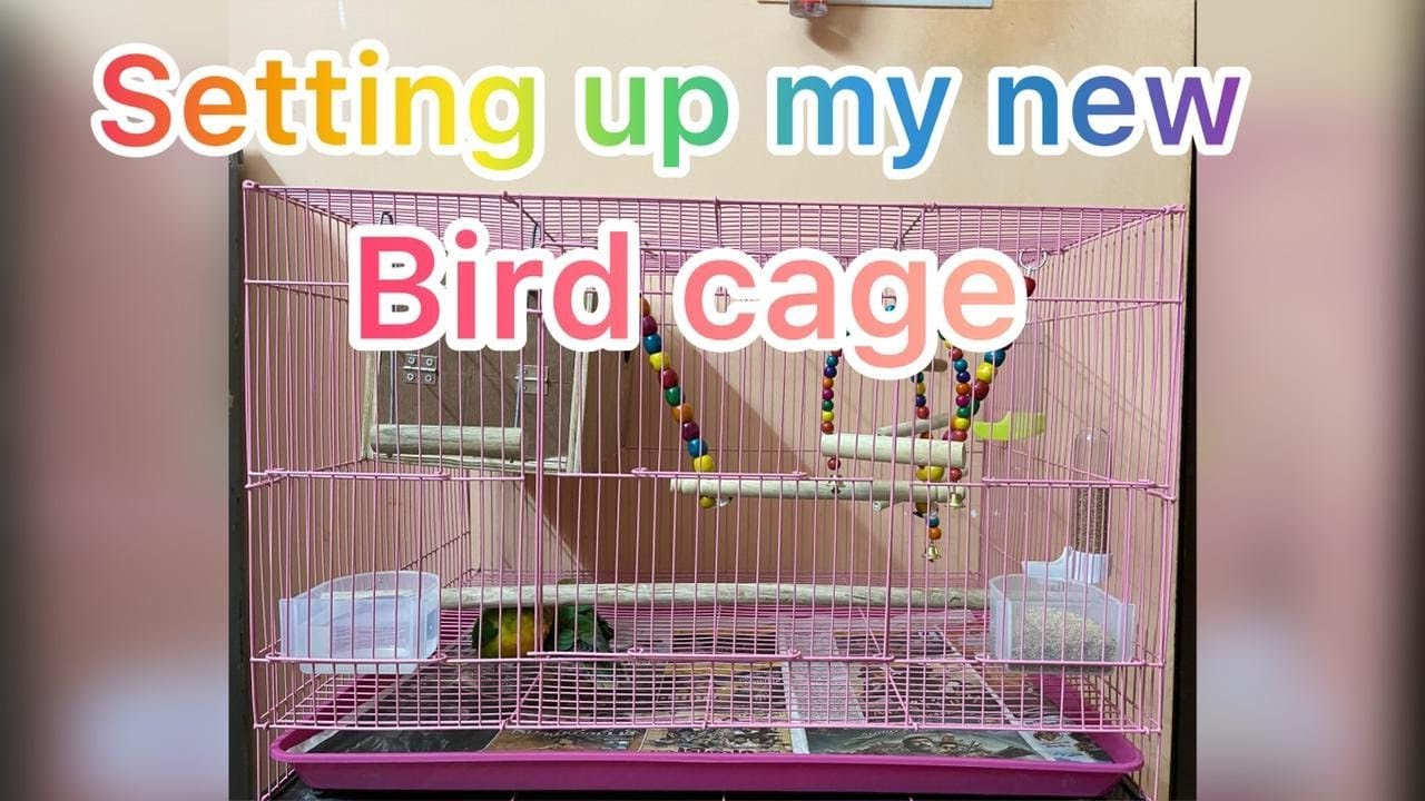 Setting up my new bird cage and unboxing birds accessories(love birds)