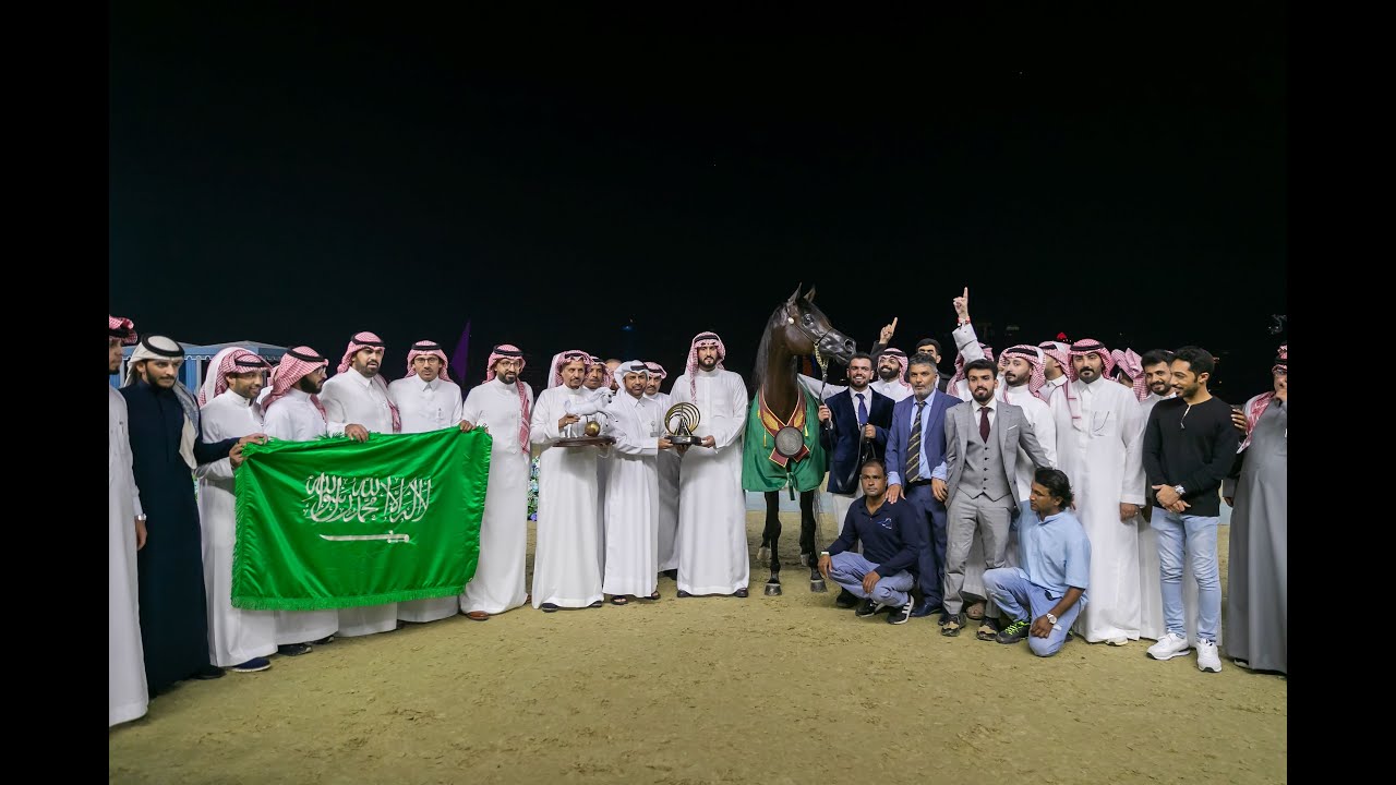 بطولة العالم لجمال الخيل العربية الأصيلة - الدوحة 2023