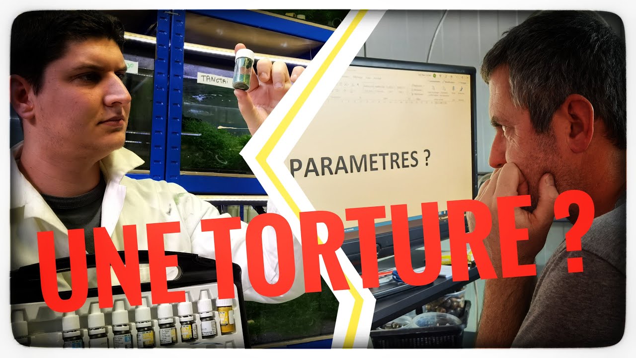 Les paramètres, c'est compliqué? (Floraquatic)
