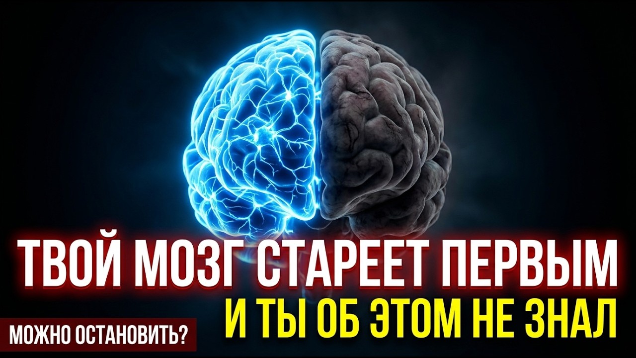 Одна клетка решает сколько вы проживёте. И она уже разрушается пока вы это читаете