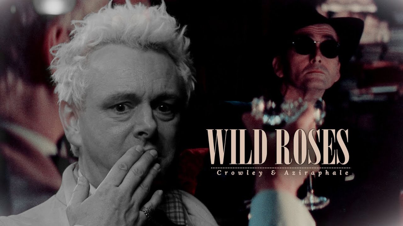 Crowley & Aziraphale | Wild Roses (+s2)