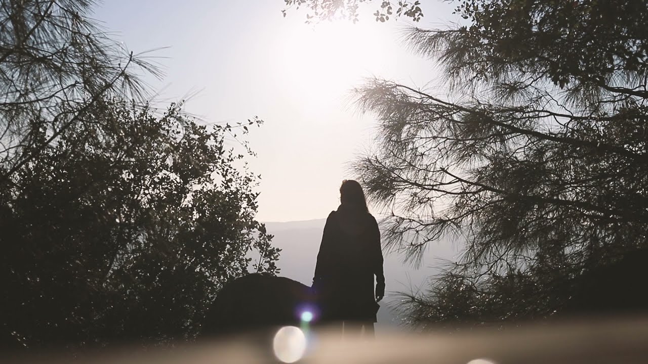 Balmy Autumnal Bliss | 2019