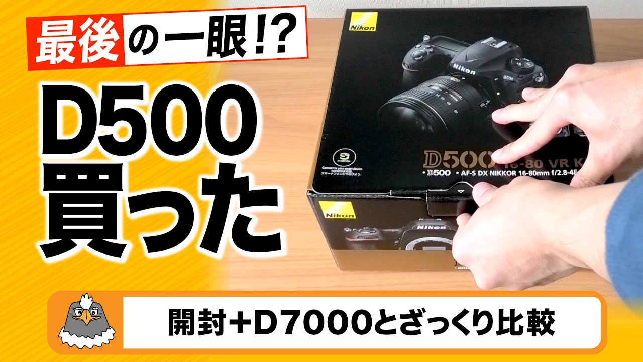 最後の一眼！？D500を購入した話【Nikon D500 開封】