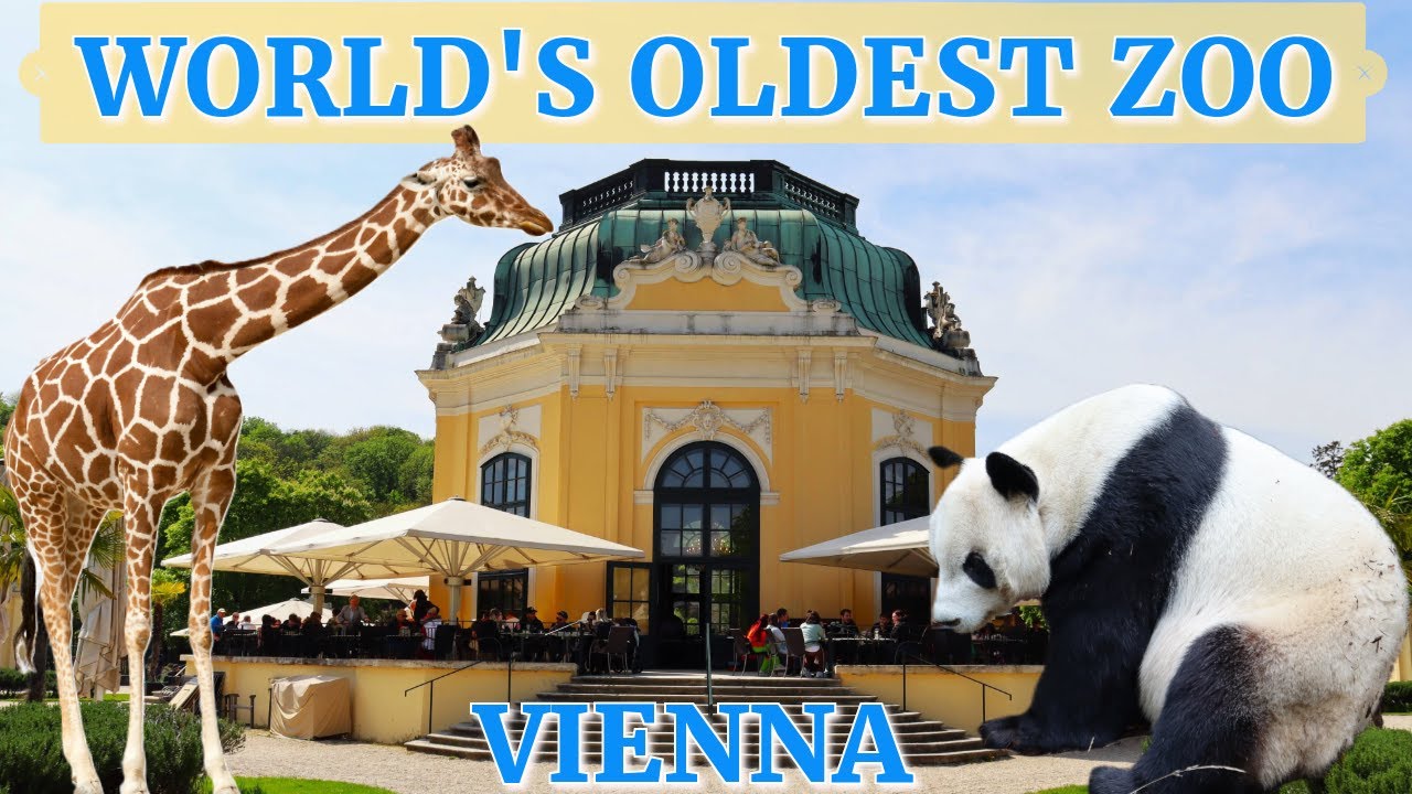 Vienna Zoo - The World's Oldest Zoo! My First Time Seeing Pandas! Tiergarten Schönbrunn Full Tour