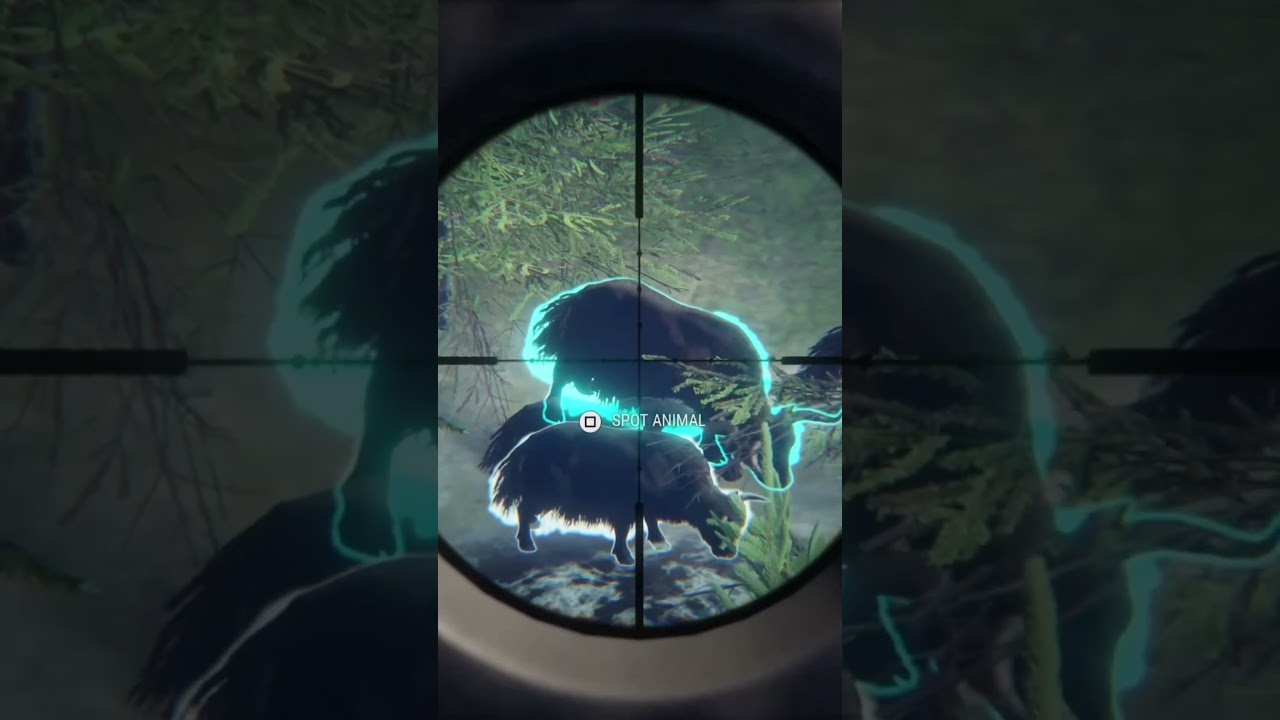 9 Legendary ￼Wild Yak! - The Hunter COTW #cotw