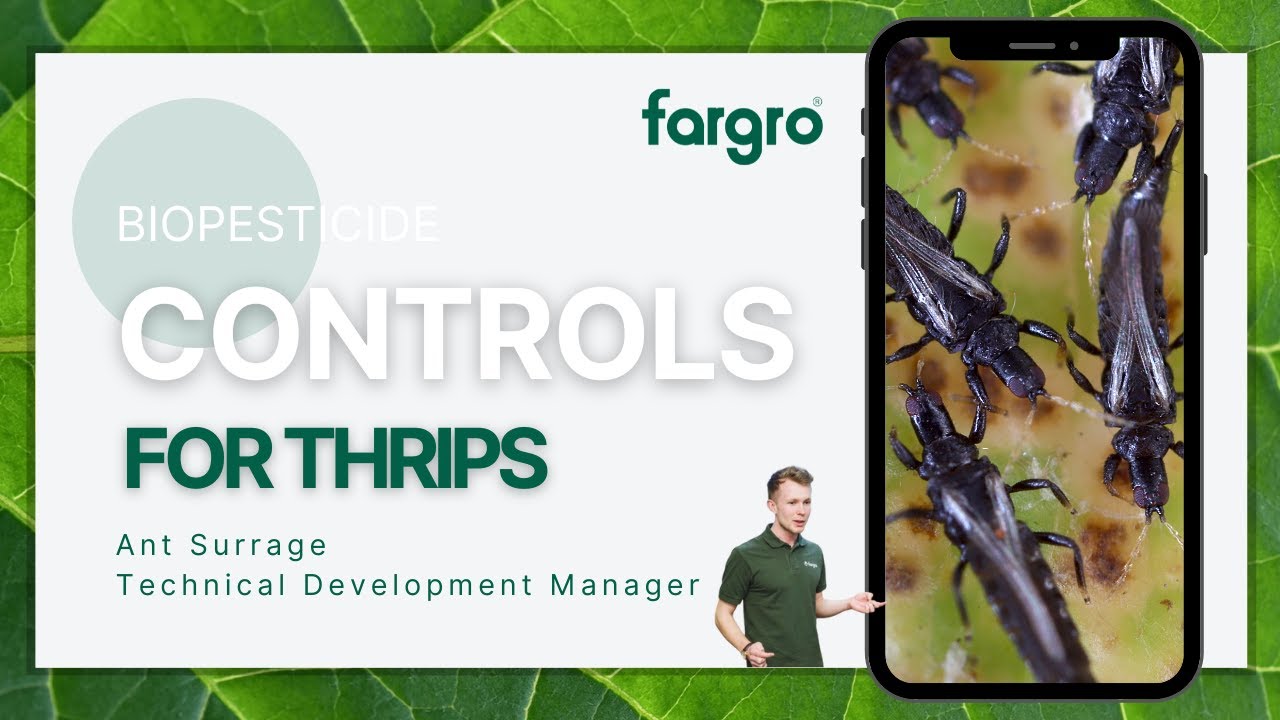 Biopesticide controls for thrips