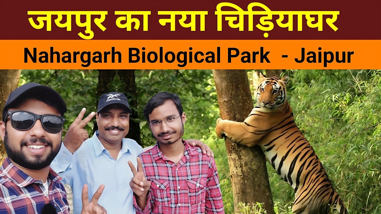 Nahargarh Biological Park | Jaipur zoo | Lion Safari | Jaipur ka Chidiyaghar | Rajasthan Tourism