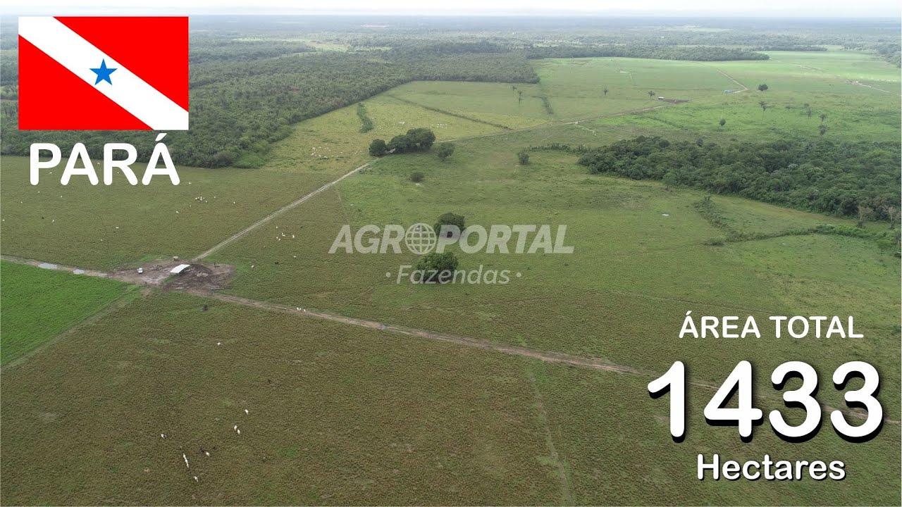 FA00245 Fazenda à venda no Pará - 1433 ha (296 alq) - Região de Tracuateua | Capanema