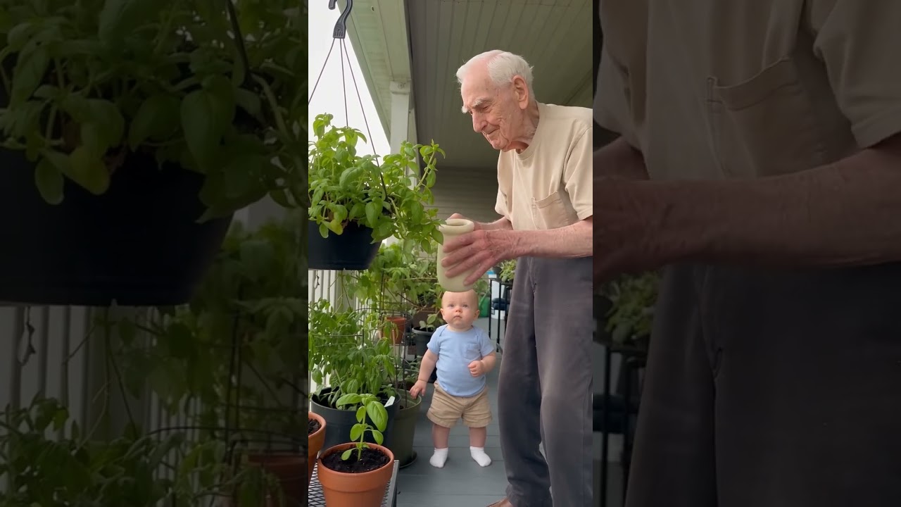 Toddler Waters the Plant Like Grandpa! 😂🌱