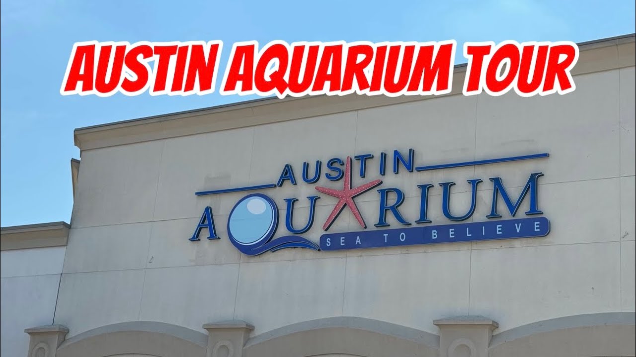 Austin Aquarium Tour TX ,USA✨