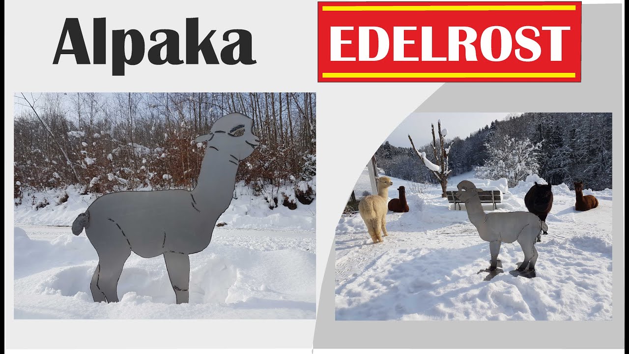 Alpaka mit Plasmaschneider in Edelrost aus Metall ausgeschnitten.