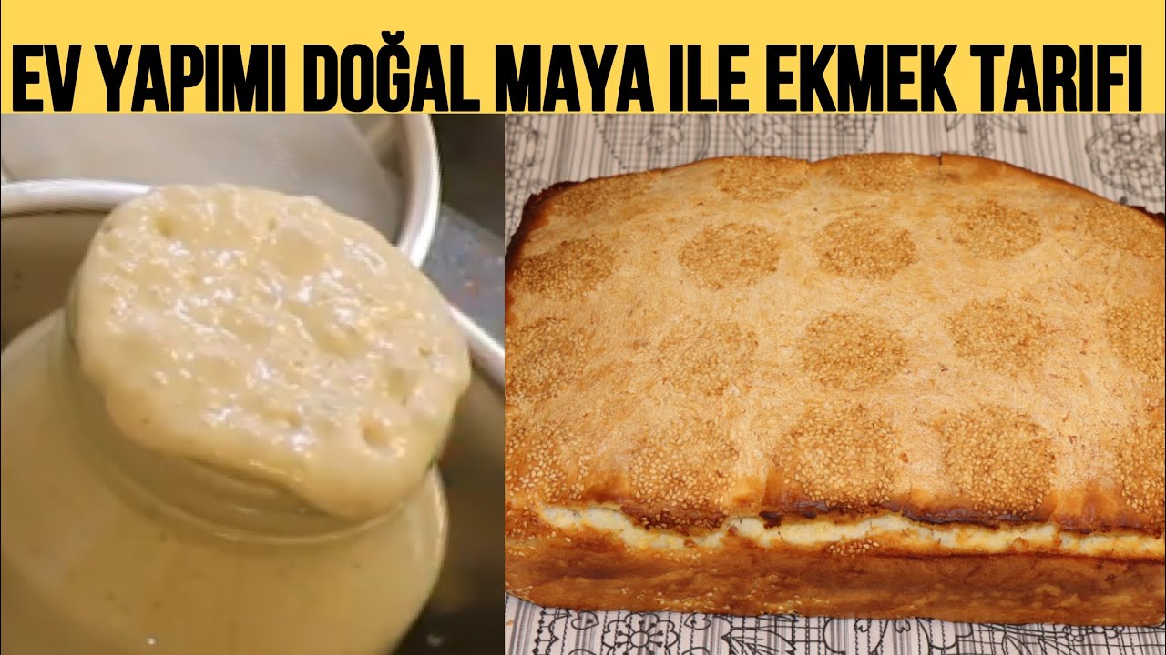 NOHUT MAYASI NASIL YAPILIR  / DOĞAL EKMEK MAYASI NASIL YAPILIR / UNUTULMUŞ LEZZET KÖY EKMEĞİ TARİFİ