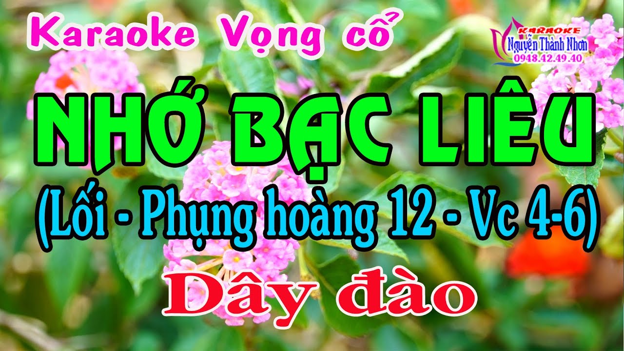 Karaoke vọng cổ NHỚ BẠC LIÊU - DÂY ĐÀO
