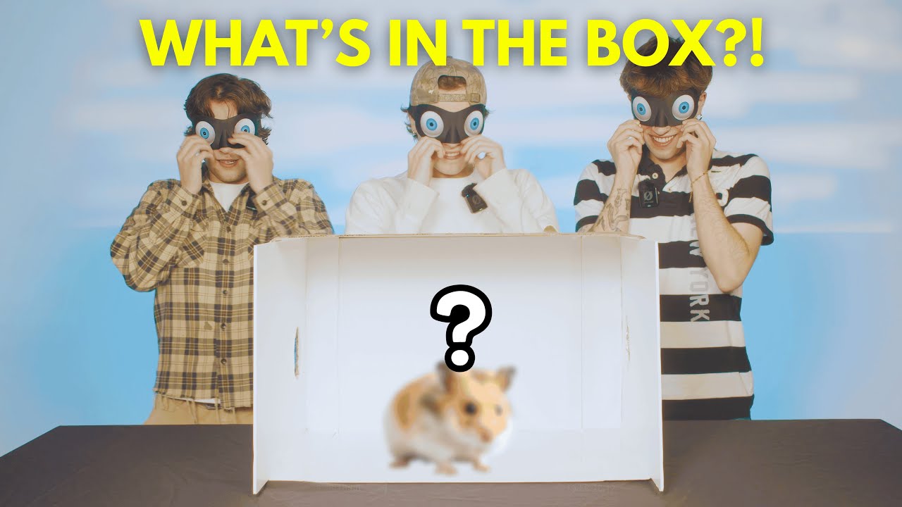 WE DID THE WHAT'S IN THE BOX CHALLENGE!!