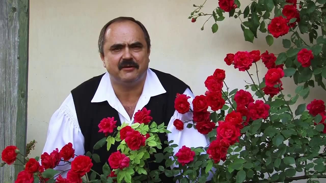 Ábrám Tibor: Visszakérem a szívemet