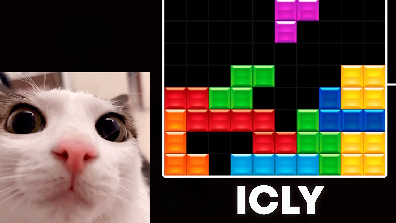 I Played Against The BEST TETRIS Player In a Tournament