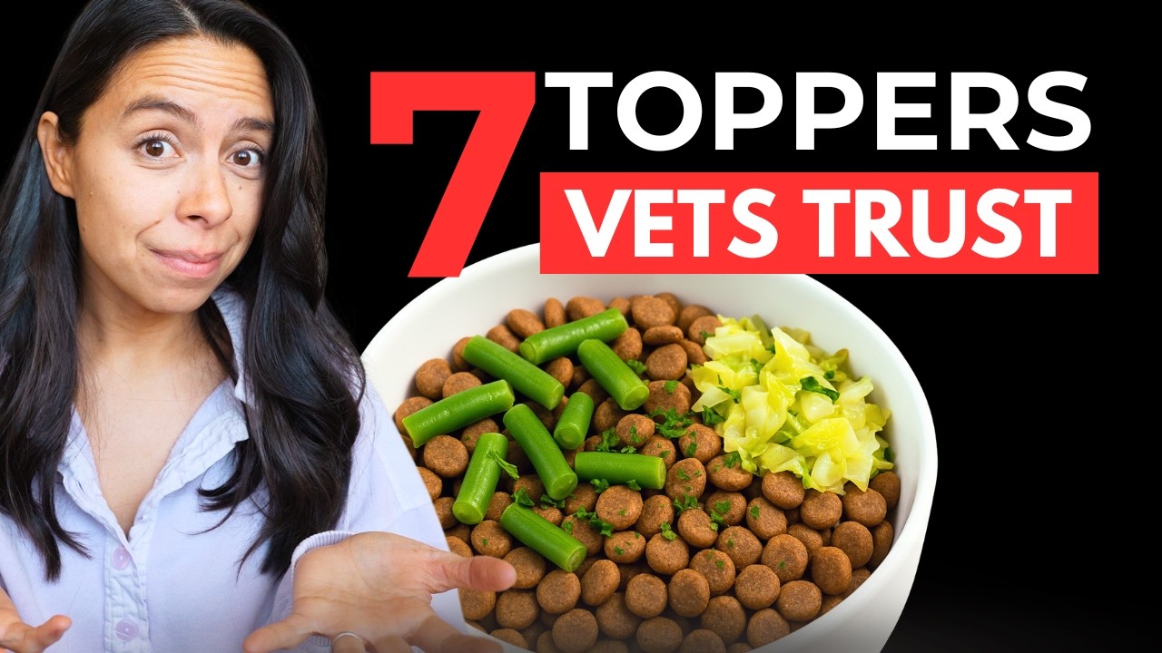 7 Best BUDGET Kibble Toppers 😲 Open Farm review