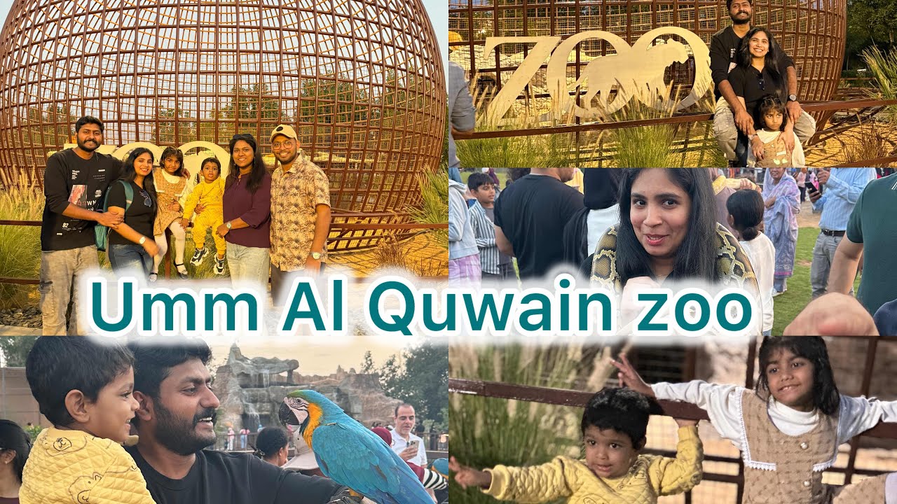 Umm Al Quwain Zoo | wildlife adventure in uae #uae #ummalquwainzoo #wildlife 