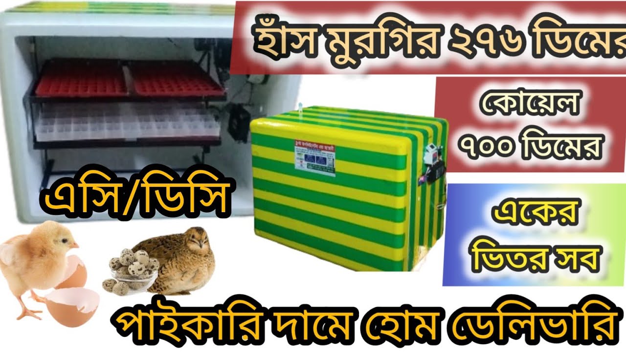 হোম ডেলিভারিতে ২৭৬ ডিমের অটোমেটিক ইনকিউবেটর মেশিন নিতে যোগাযোগ করুন। Bangladesh