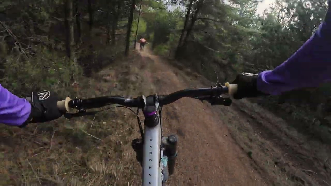 Джанго Golden Dust bikepark