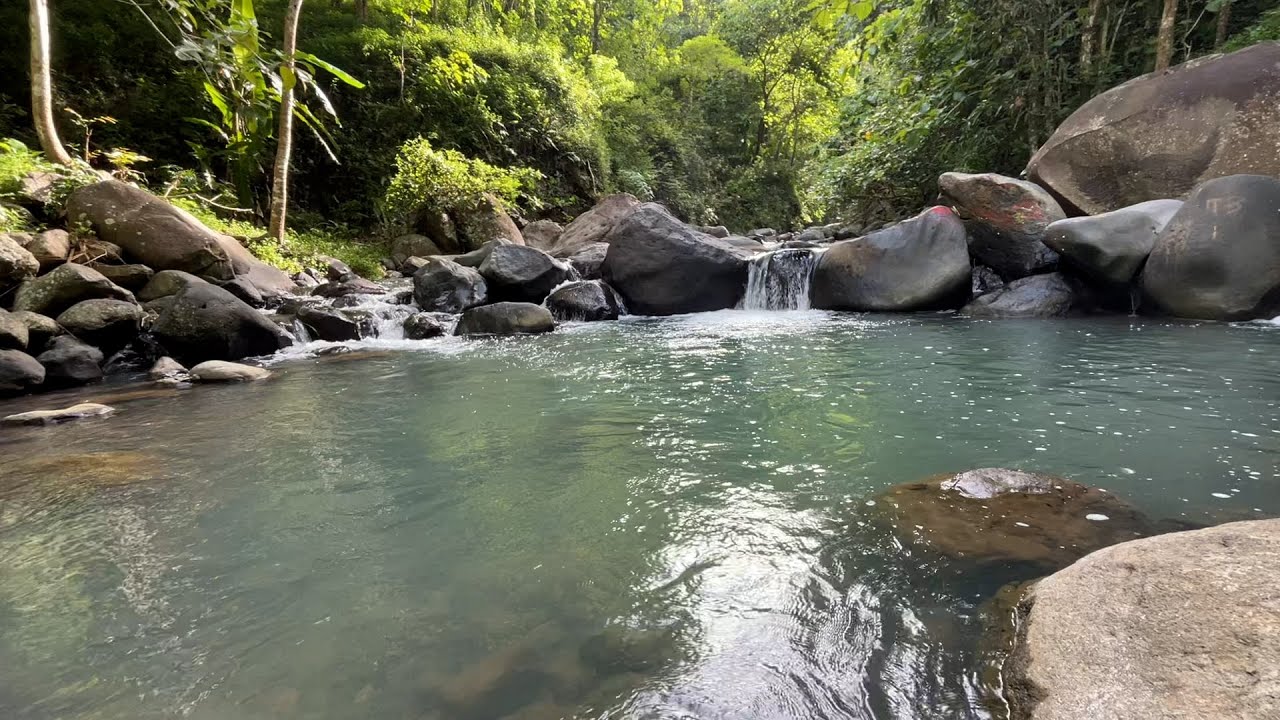 River Sounds for Deep Sleep and Relaxation 💧 Forest Water Flow for Stress & Anxiety Relief 🌙