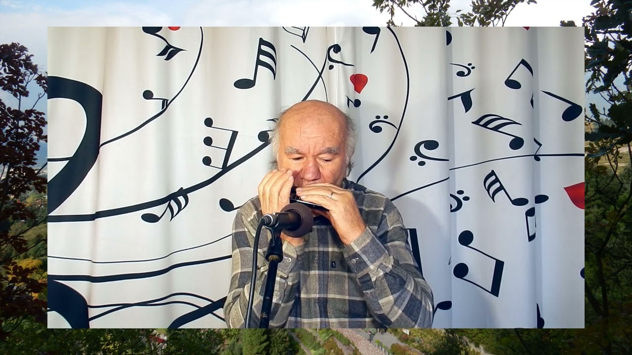 Hast a bisserl zeit fur mich () Harmonica