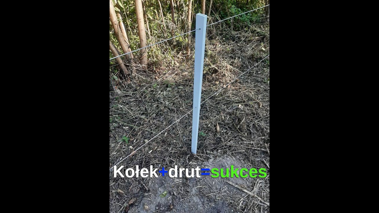 Ogrodzenie pastwisk dla bydła mięsnego