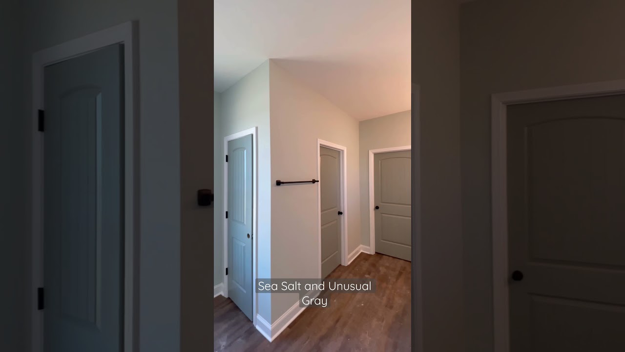 Sea Salt Wall Color with Unusual Gray Door Color