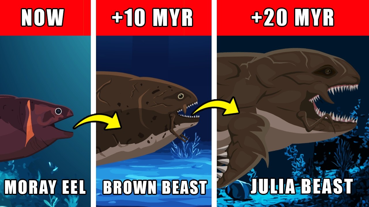 Julia Beast Origin Evolution: How Julia Beast Could Have Evolved