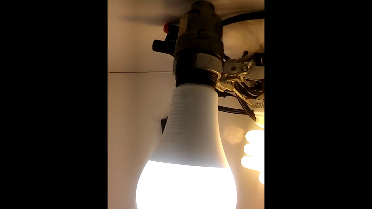 Refrigerator Grow Box