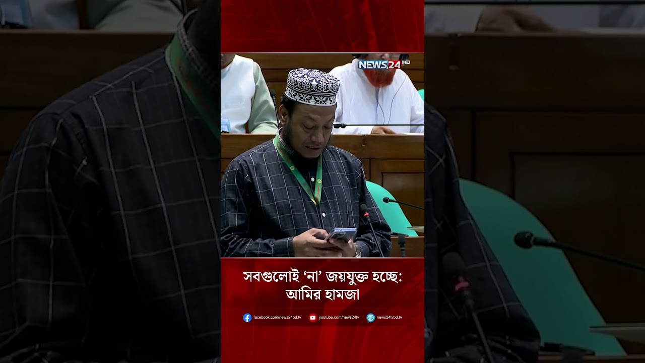 সবগুলোই &lsquo;না&rsquo; জয়যুক্ত হচ্ছে: আমির হামজা | NEWS24