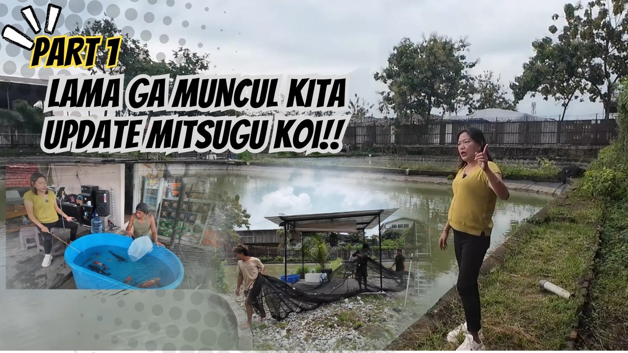 UDA LAMA GK MUNCUL.. TANTE UPDATE MITSUGU KOI!! PART 1!!! 