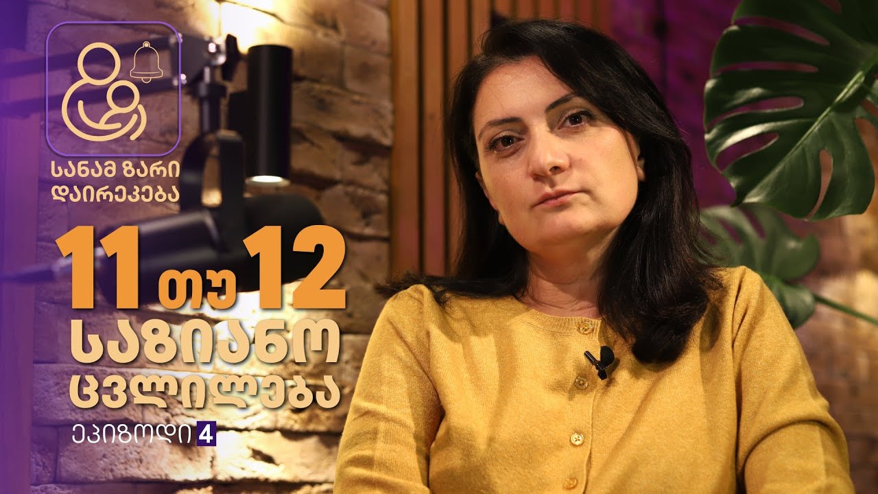 11 თუ 12? საზიანო ცვლილება - ეპიზოდი 4