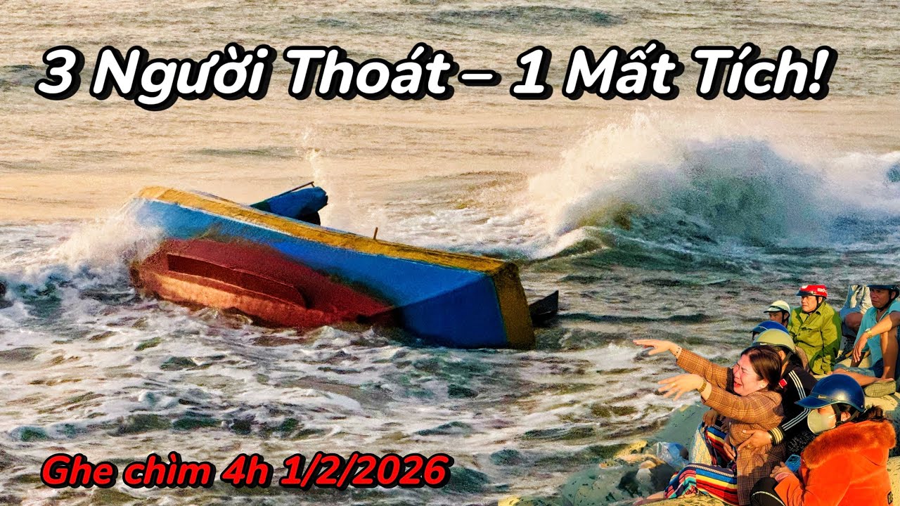 Thảm kịch 1/2/2026: Ghe lưới ghẹ chìm giữa biển La Gi – 3 người thoát nạn, 1 người mãi mãi ra đi!