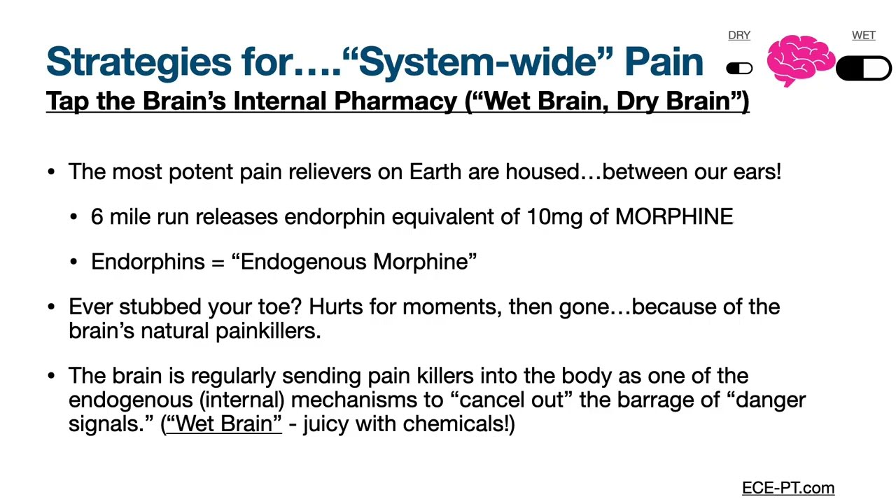 09- Strategies for Chronic Pain/Systemwide Pain - Part 1
