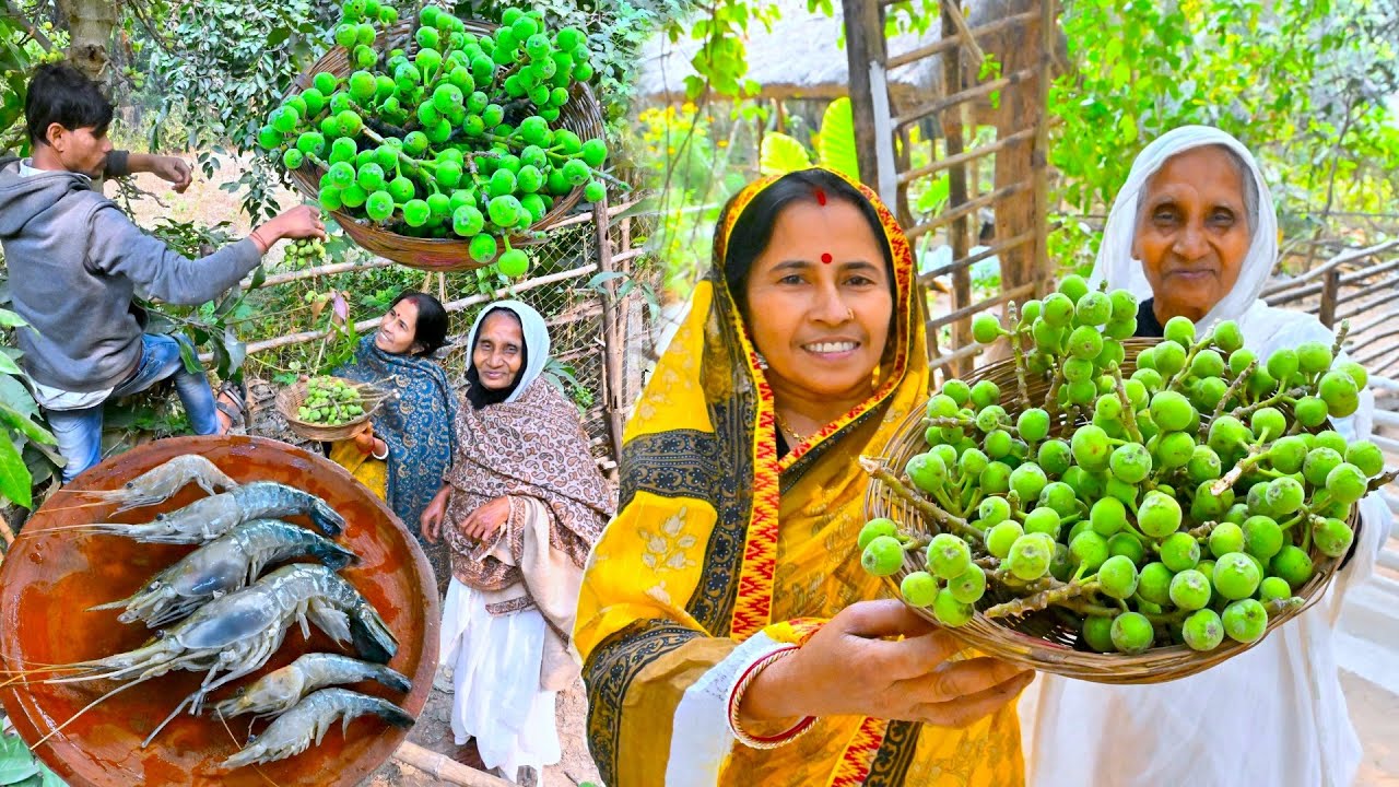 বাড়ির গাছ থেকে ডুমুর তুলে ডুমুর চিংড়ি রান্না | Bengali famous Dumur Chingri recipe | Fig recipe