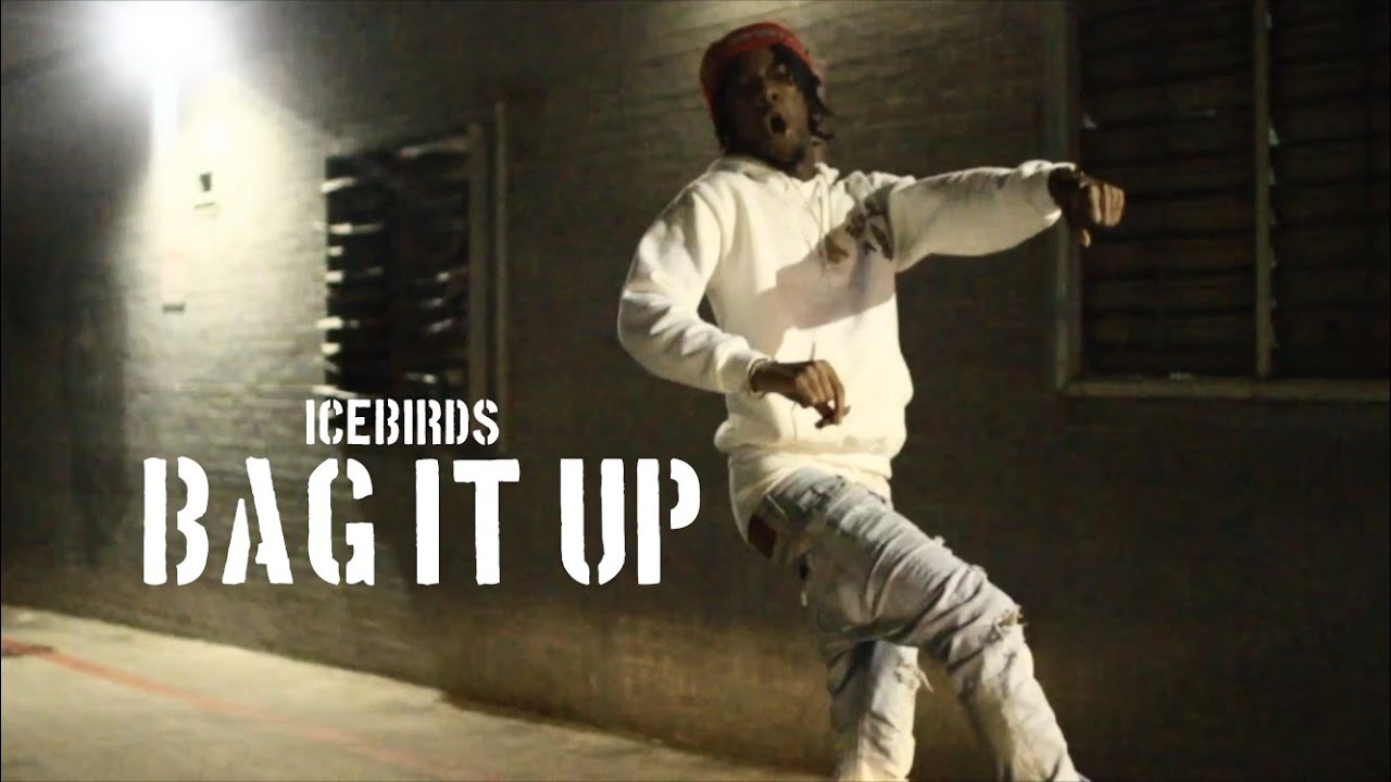 IceBirds - Bag It Up (Video) | Shot by VisbyBWoods