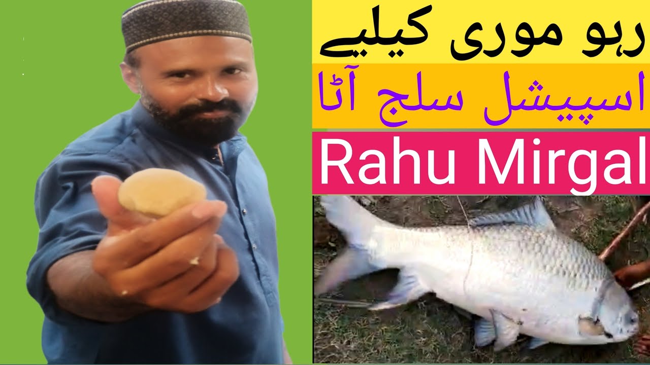 Pakistan river fishing|spacial Rahu mirgal bait salaj|رہو موری کیلیے اسپیشل سلج آٹا