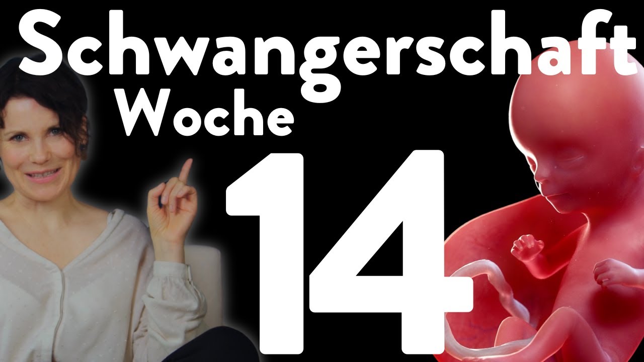 Die 14. SSW | Schwangerschaft  Woche 14 - Schwangerschaftsführer