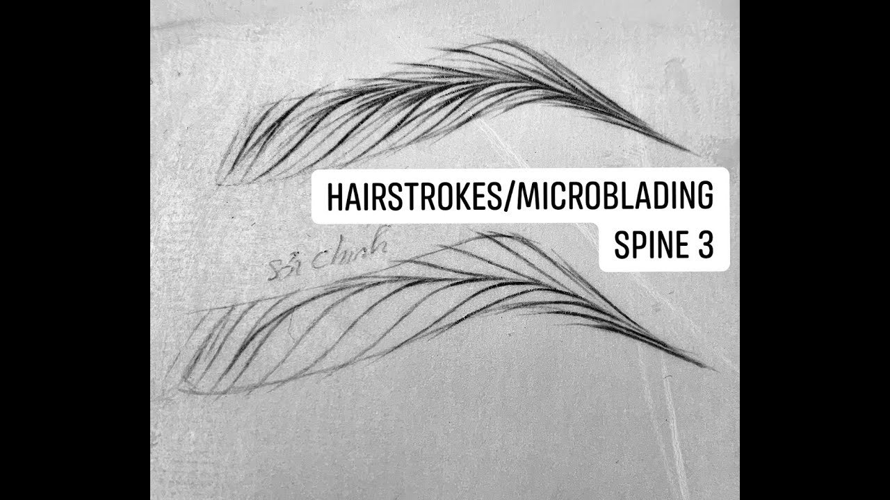 HAIRSTROKES MICROBLADING SPINE3