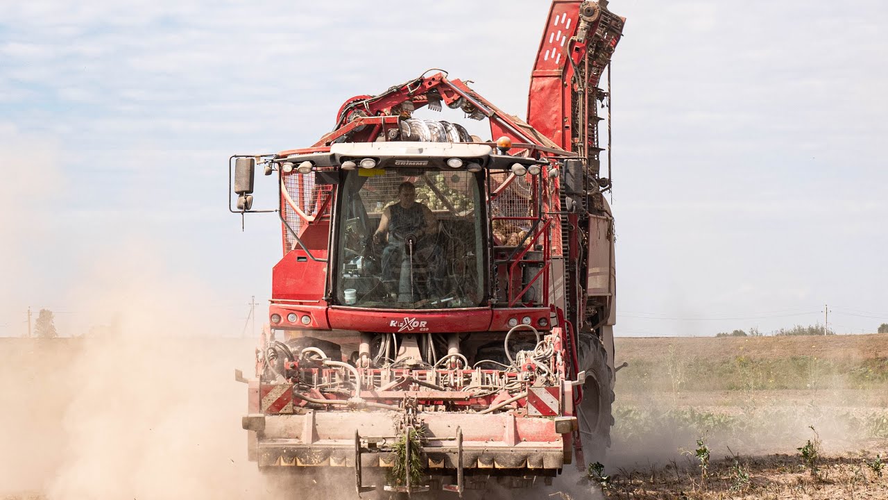 Уборка сахарной свеклы / 2X GRIMME Rexor 620 /