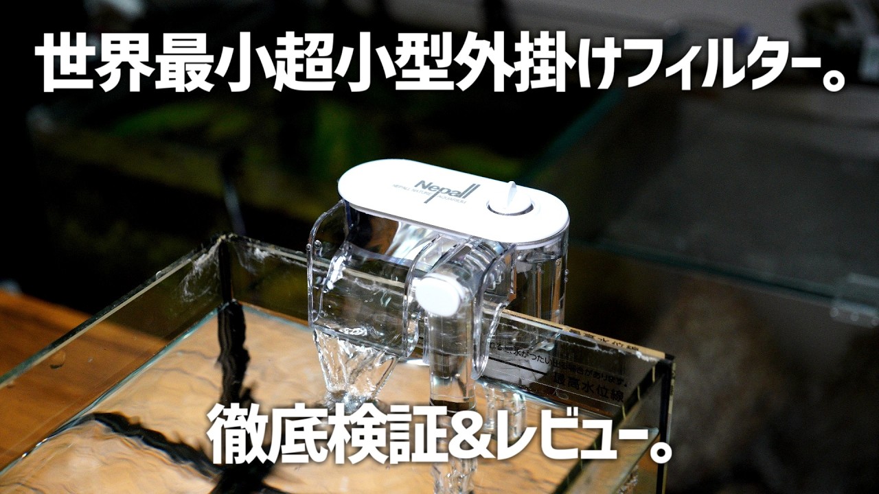 めちゃくちゃ小さい超小型外掛けフィルター購入。徹底検証&レビュー AQUA FILLER MINI FILTER #572【アクアリウム】