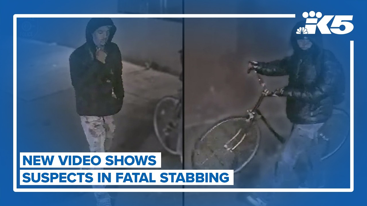 New video shows moments before deadly stabbing in Seattle