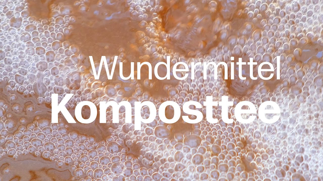 Biologisches Wundermittel: Nicola Fagotto erklärt, wie man den besten Komposttee herstellt