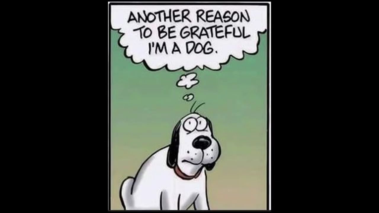 Funny Comics #funny #funnycomics #comedy #memes #funnypictures #jokes #funnyphotos #comics