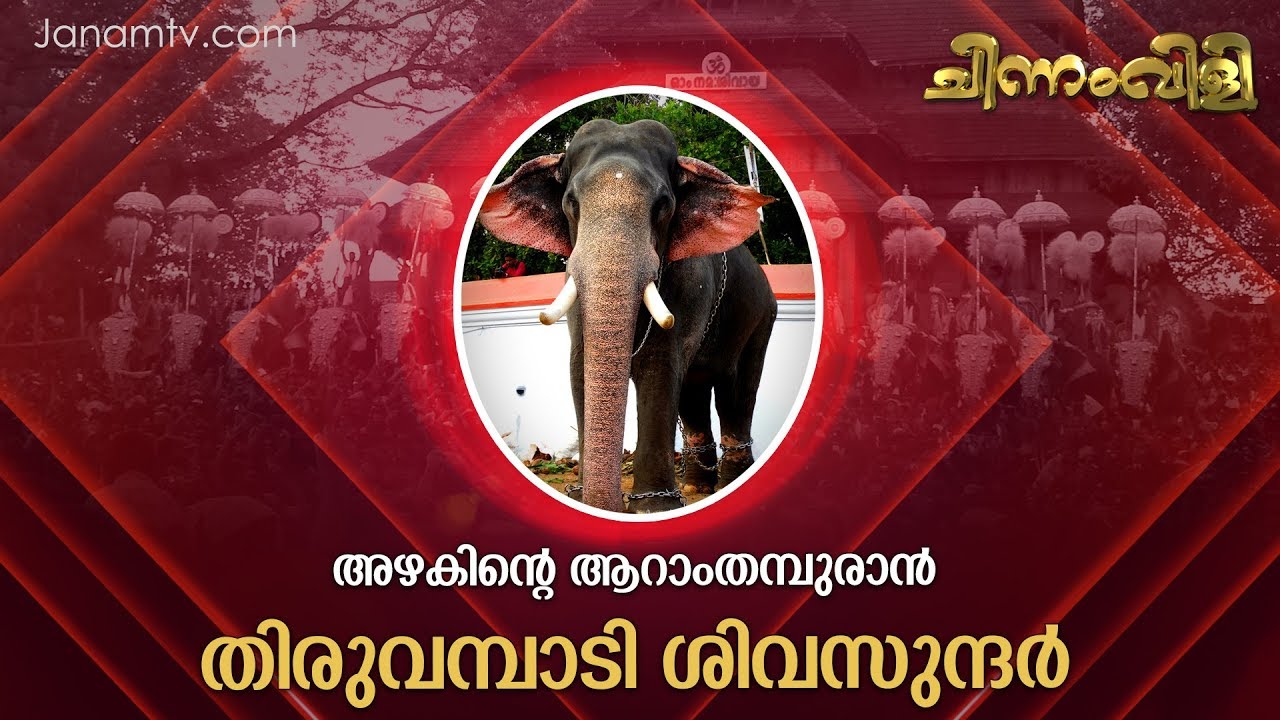 തിരുവമ്പാടി ശിവസുന്ദര്‍ | Thiruvambadi Sivasundar ചിന്നംവിളി | Janamtv.com | Chinnam Vili