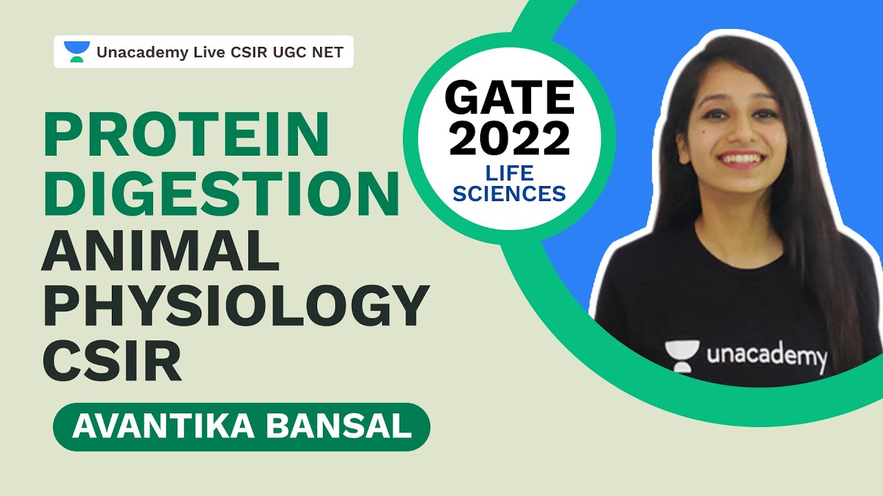 Protein Digestion | Animal Physiology CSIR | GATE 2022 | Avantika Bansal | Unacademy CSIR