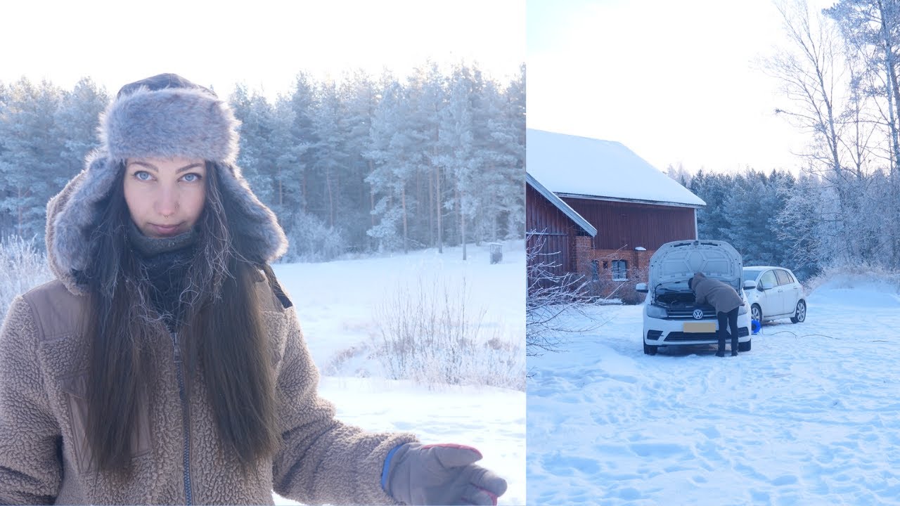 -23°C is the perfect weather to work on the car